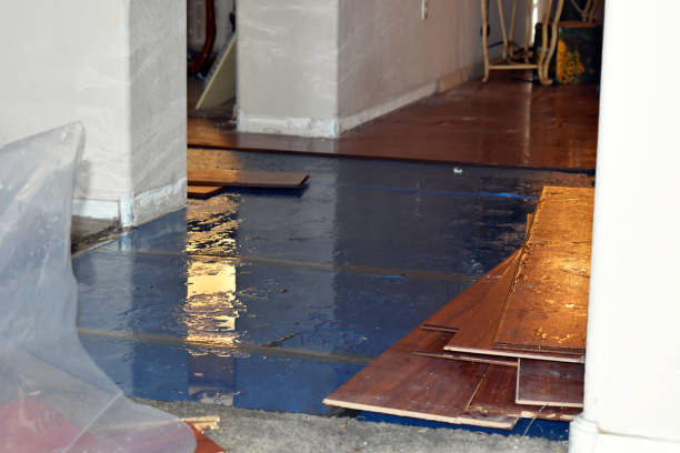 Professional Structural Drying And Dehumidification technician working in Henderson, MI